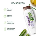 Buy Naturali Dandruff Defence Shampoo | With Tea Tree Oil & Cactus Extract | Prevents Dandruff & Moisturizes Hair & Scalp | 80 ml - Purplle