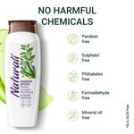 Buy Naturali Dandruff Defence Shampoo | With Tea Tree Oil & Cactus Extract | Prevents Dandruff & Moisturizes Hair & Scalp | 80 ml - Purplle