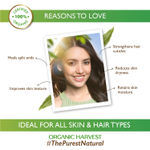 Buy Organic Harvest Cold Pressed Extra Virgin Organic Coconut Oil For All Types of Hair, Skin - Purplle