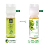 Buy Organic Harvest Anti-Dandruff Hair Oil For Men/Women With Apple Oil & Tea Tree Extract - Purplle