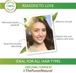 Buy Organic Harvest Anti-Dandruff Hair Oil For Men/Women With Apple Oil & Tea Tree Extract - Purplle