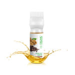 Buy Organic Harvest Everyday Hair Oil Coffee & Walnuts Nourishment, Paraben and Sulphate Free - 150 ml - Purplle