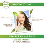 Buy Organic Harvest Everyday Hair Oil Coffee & Walnuts Nourishment, Paraben and Sulphate Free - 150 ml - Purplle