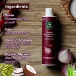 Buy Organic Harvest Red Onion Shampoo, Onion Conditioner,combo Suitable for All Hair Types Combo of 2 - Purplle