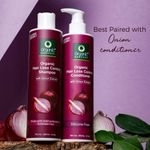 Buy Organic Harvest Red Onion Shampoo, Onion Conditioner,combo Suitable for All Hair Types Combo of 2 - Purplle