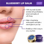 Buy Vaadi Herbals Lip Balm Blueberry (10 gm) - Purplle