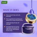 Buy Vaadi Herbals Lip Balm Blueberry (10 gm) - Purplle