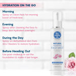 Buy The Moms Co. Natural Hydrating Face Mist 100 ml - Purplle