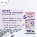 Buy OxyGlow Herbals Lavender & Cocoa Butter Hair Removal Cream,40g - Purplle