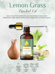 Buy Nutriment Tea Tree & Lemon Grass Essential Oil, 15ml Each (Pack of 2) - Purplle