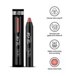 Buy RENEE Talk Matte Crayon Brick Blare Hydrating and Long-Lasting Matte Lip Color, Enriched with Vitamin E, Jojoba Oil & Cocoa Butter, 4.5 gm - Purplle