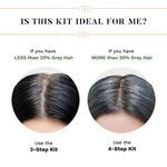 Buy Sesa 4 Step Natural Hair Colour Kit - For HIGH GREY % - 100% Organic & Ayurvedic - NO Ammonia, PPD, Peroxide (200 g + 40 ml) - Purplle