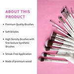 Buy Plume 23 Pcs Professional Makeup Brush Set - Purplle