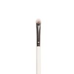 Buy Plume P17 - Dense Dome Eyeshadow Application Brush - 1 Pc - Purplle
