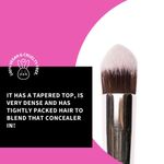 Buy Plume P20 - Professional Dense Tapered Concealer/Foundation Brush - Purplle