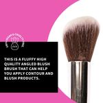 Buy Plume P02 - Professional Angled Blush Brush - Purplle