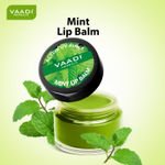Buy Vaadi Herbals Lip Balm Mint (10 g) - Purplle
