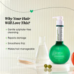 Buy Dot & Key Quinoa Protein & Olive Damage Repair Shampoo (350 ml) - Purplle