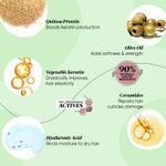Buy Dot & Key Quinoa Protein & Olive Damage Repair Shampoo (350 ml) - Purplle