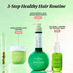 Buy Dot & Key Quinoa Protein & Olive Damage Repair Shampoo (350 ml) - Purplle