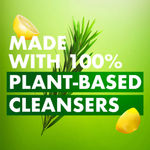 Buy Liril Lime & Tea Tree Oil Soap 125 g - Purplle