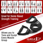 Buy MuscleXP DrFitness+ Double Toning Tube Latex Tube Body Enhancer For Women & Men with Door Anchor, Workout, Home Gym and Toning, For Arms, Legs, Shoulders (Black) - Purplle