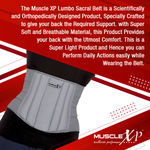 Buy MuscleXP DrFitness+ Lumbo Sacral Belt, Back Support Belt With Cushioning & Semi-Flexible, Splints For Men & Women, Optimum Back Support, Back Pain Relief-Compression Belt, Large Size - Purplle