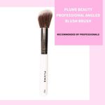 Buy P02 - Professional Angled Blush Brush (Freebie) - Purplle