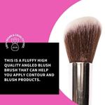 Buy P02 - Professional Angled Blush Brush (Freebie) - Purplle