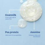 Buy Vilvah Store Goat Milk Shampoo, For Dry & Frizzy Hair with Pea Protein and Goat Milk, Strong & Shiny Hair, No Sulfates, No Paraben, Shampoo For Men and Women, 200 ml - Purplle