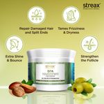 Buy Streax Professional Spa Nourishment Hair Masque with Olive & Shea Butter 500 gm - Purplle