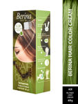 Buy Berina A31 Blonde Gray Green Hair Color Cream 60Gm - Purplle