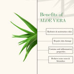 Buy Good Vibes Softening + Radiance Gel - Aloe Vera + Lemon (50 gm) - Purplle
