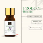 Buy Good Vibes Lavender 100% Pure Essential Oil | Skin Smoothening, Hair Growth | 100% Vegetarian, No GMO, No Synthetics, No Animal Testing (5 ml) - Purplle