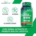 Buy NourishVitals Amla Vitamin C with Tannins > 25% Pure Herbs, 500 mg Amla Extract 60 Veg Capsules x Pack Of 2 - Purplle