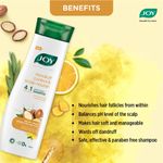 Buy Joy Natural Actives Dandruff Control and Scalp Nourish 4 in 1 Multi Action Conditioning Shampoo (340 ml) - Purplle