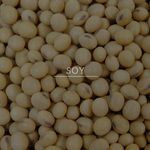 Buy Khadi Natural Strengthening Soy Protein Hair Mask by Powered BOTANICS | 200gm - Purplle