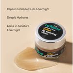 Buy Free mCaffeine Coffee Lip Sleeping Mask for Hydration & Repair, 24 Hrs Moisturization (12 gm) - Purplle