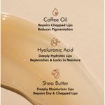 Buy Free mCaffeine Coffee Lip Sleeping Mask for Hydration & Repair, 24 Hrs Moisturization (12 gm) - Purplle