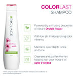 Buy BIOLAGE Colorlast Shampoo 400ml | Paraben free|Helps Protect Colored Hair & Maintain Color Vibrancy | For Colored Hair - Purplle