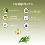 Buy AYA Australian Tea Tree Face Serum (10 ml) | Prevents Break outs, Reduce Blackheads and Soothing | No Paraben, No Silicone, No Mineral Oil - Purplle