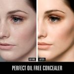 Buy Matt look Full Cover Jumbo Concealer Oil Control Perfect Coverage, Face Makeup, White Ivory (11ml) - Purplle