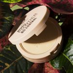 Buy Matt look Perfect look Powder 2 in 1 Formula Oil Control, Powder + Base Concealer, Face Makeup, Ivory (20gm) - Purplle
