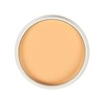 Buy Mattlook Oil control Waterproof Pan Cake, Face Makeup, Sun Powder (15 gm) - Purplle