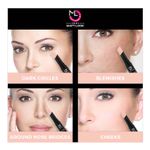 Buy Mattlook Concealer & Anticernes SPF-20/FPS-20, Blush (3.6 gm) - Purplle