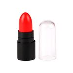 Buy Matt look Colour Madness travel Pack Lipstick , 12pcs Pack, Multicolour-B (13.2g) - Purplle