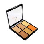 Buy Half N Half Cover Concealer Skin Beauty, Multicolour Palette, Honey (9.6gm) - Purplle