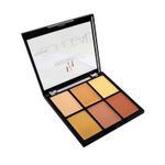 Buy Half N Half Cover Concealer Skin Beauty, Multicolour Palette, Butter Scotch (9.6gm) - Purplle