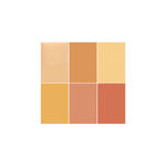 Buy Half N Half Cover Concealer Skin Beauty, Multicolour Palette, Butter Scotch (9.6gm) - Purplle