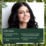 Buy Indus Valley Bio Organic Natural Herbal Henna Powder For Hair Color, Mehandi for Hair Colour (100 gm) - Purplle